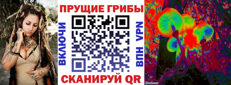 наркота  Кимры  даркнет Telegram  Галлюциногенные грибы Magic Shrooms 
